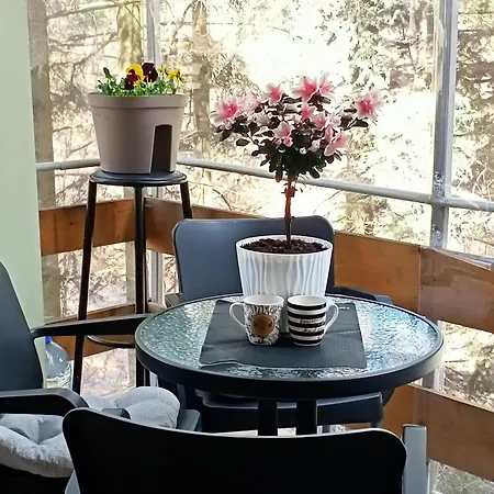 Apartament Trio Sa Terasom *