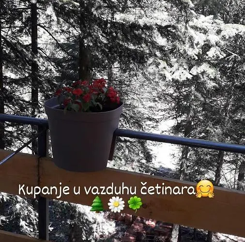 Trio Sa Terasom Apartman