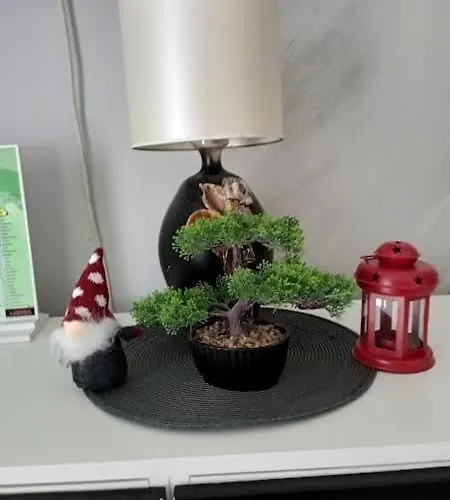 Apartman Trio Sa Terasom Divcibare