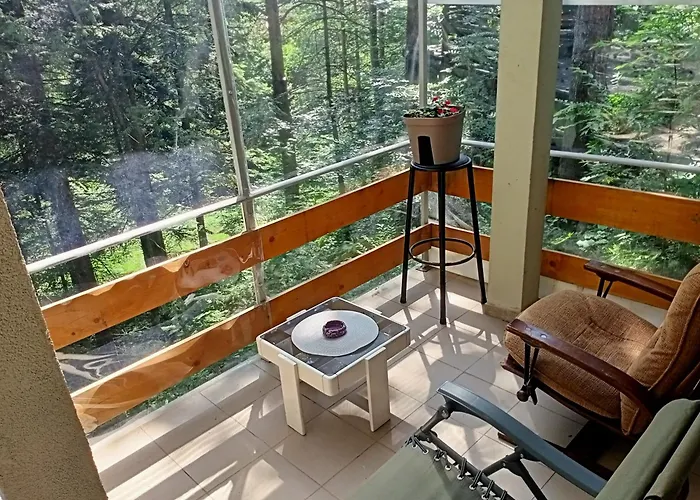 Trio Sa Terasom Divcibare