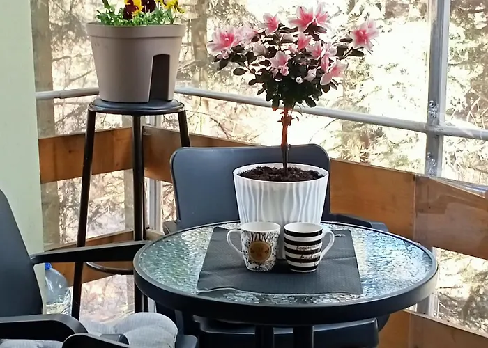 Apartman Trio Sa Terasom *